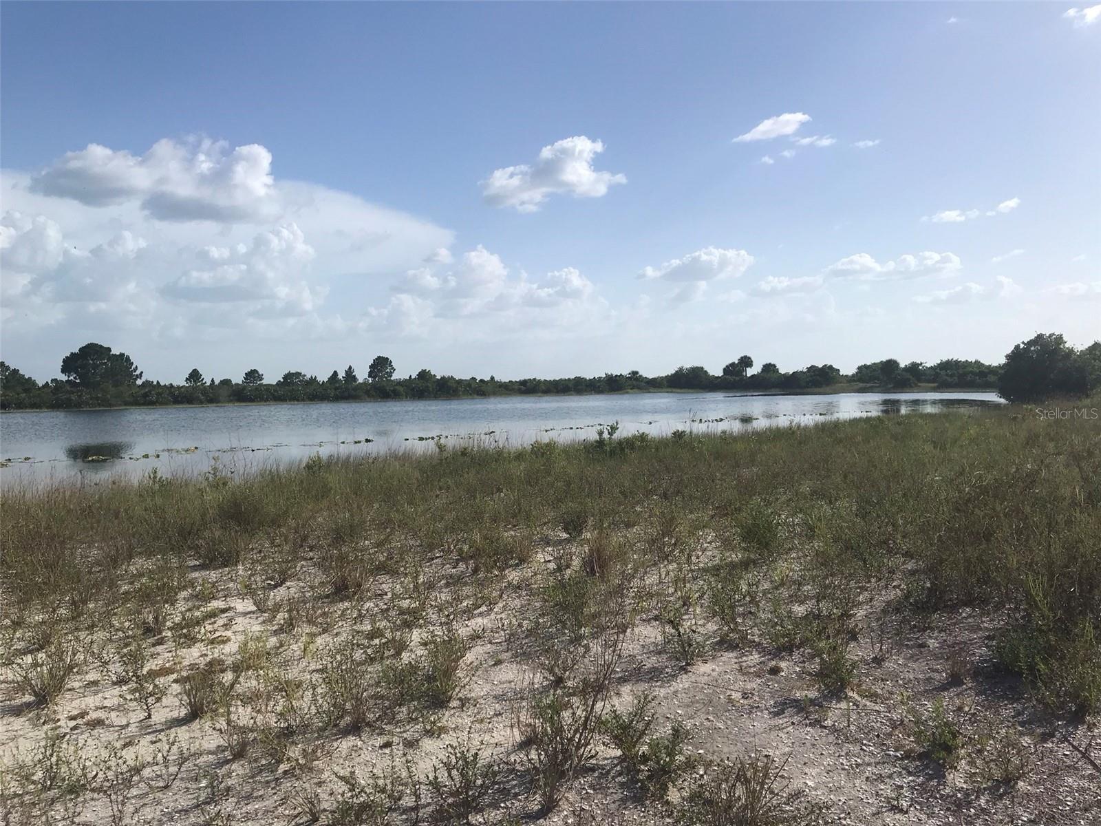 48033 BERMONT RD, PUNTA GORDA, FL — photo 19