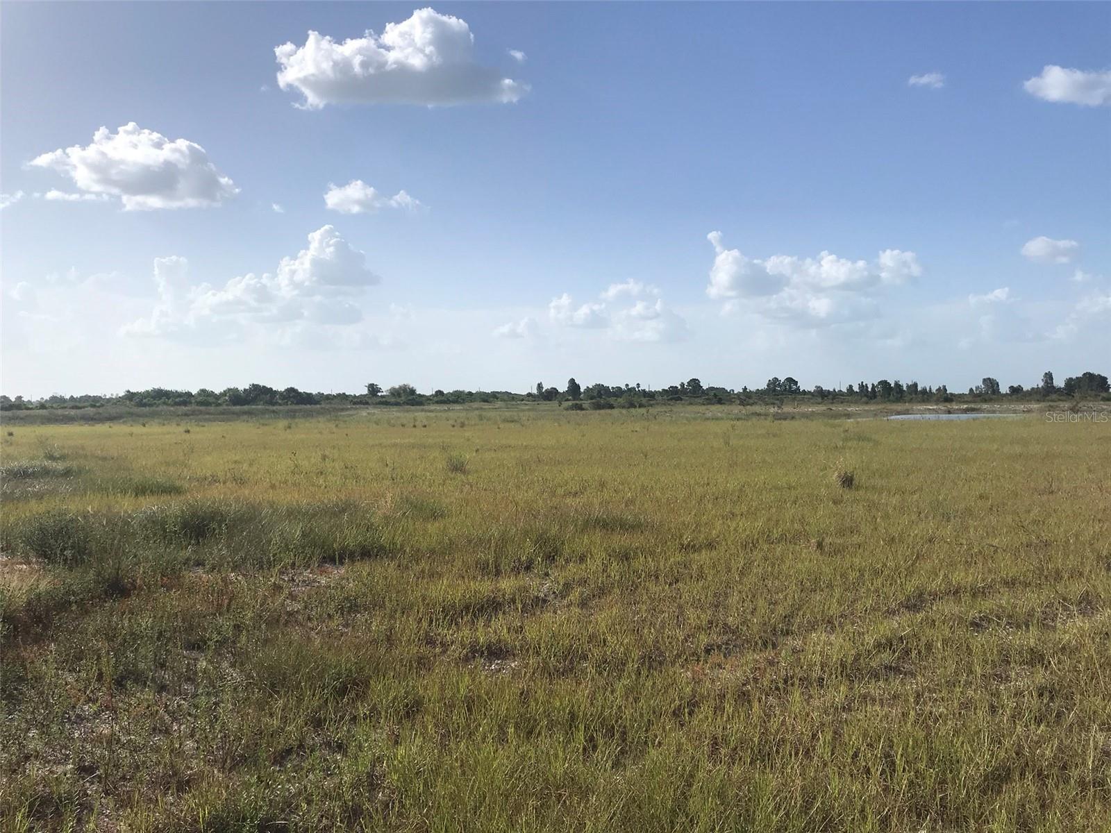 48033 BERMONT RD, PUNTA GORDA, FL — photo 11