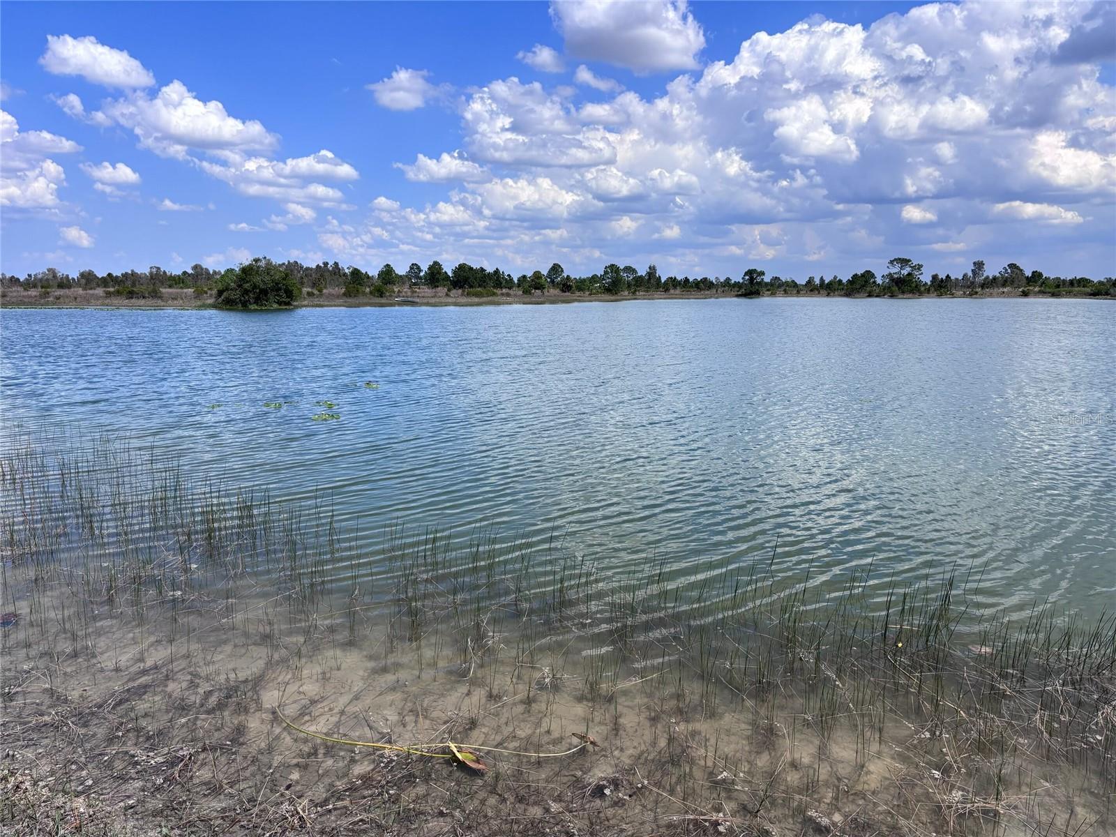 48033 BERMONT RD, PUNTA GORDA, FL — photo 2
