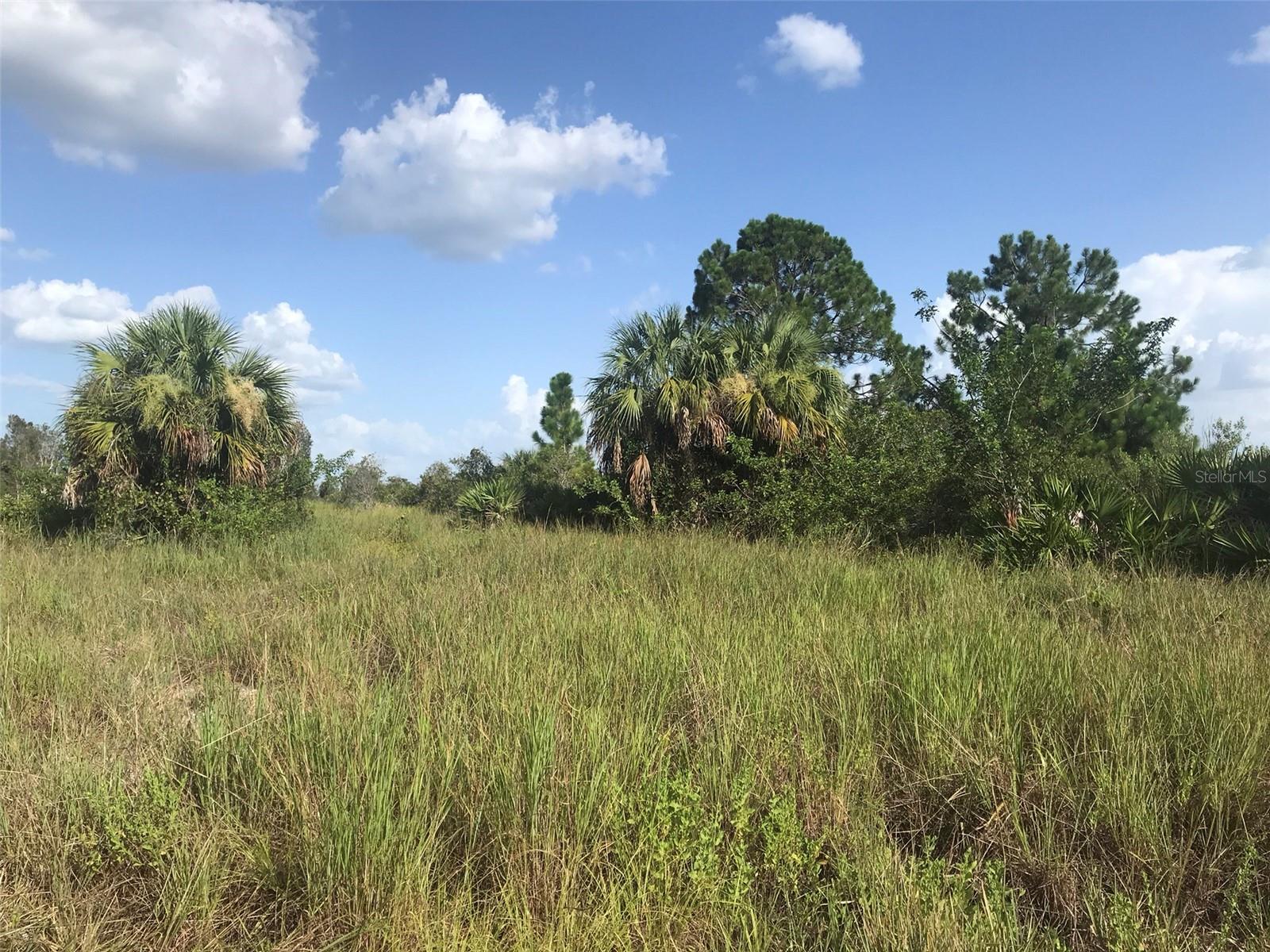 48033 BERMONT RD, PUNTA GORDA, FL — photo 10