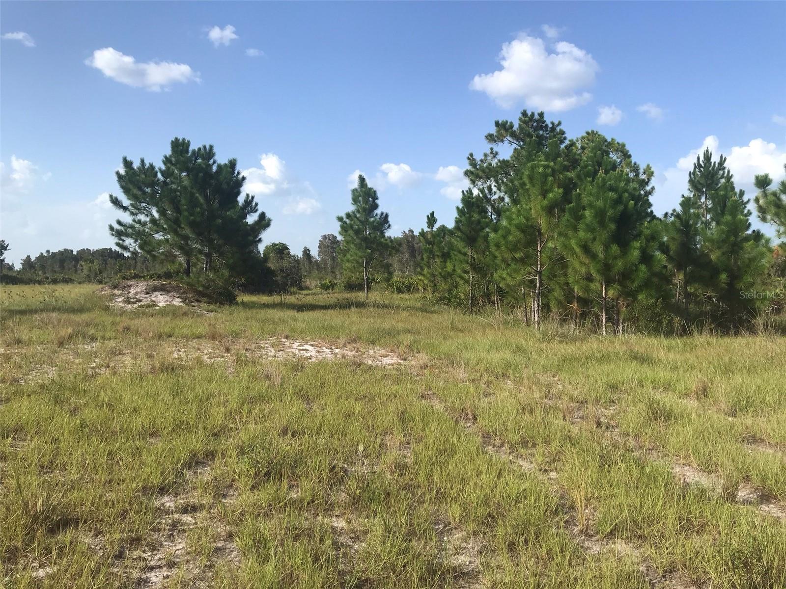 48033 BERMONT RD, PUNTA GORDA, FL — photo 15