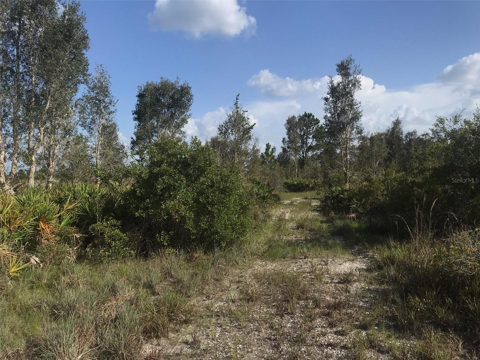 48033 BERMONT RD, PUNTA GORDA, FL — photo 21