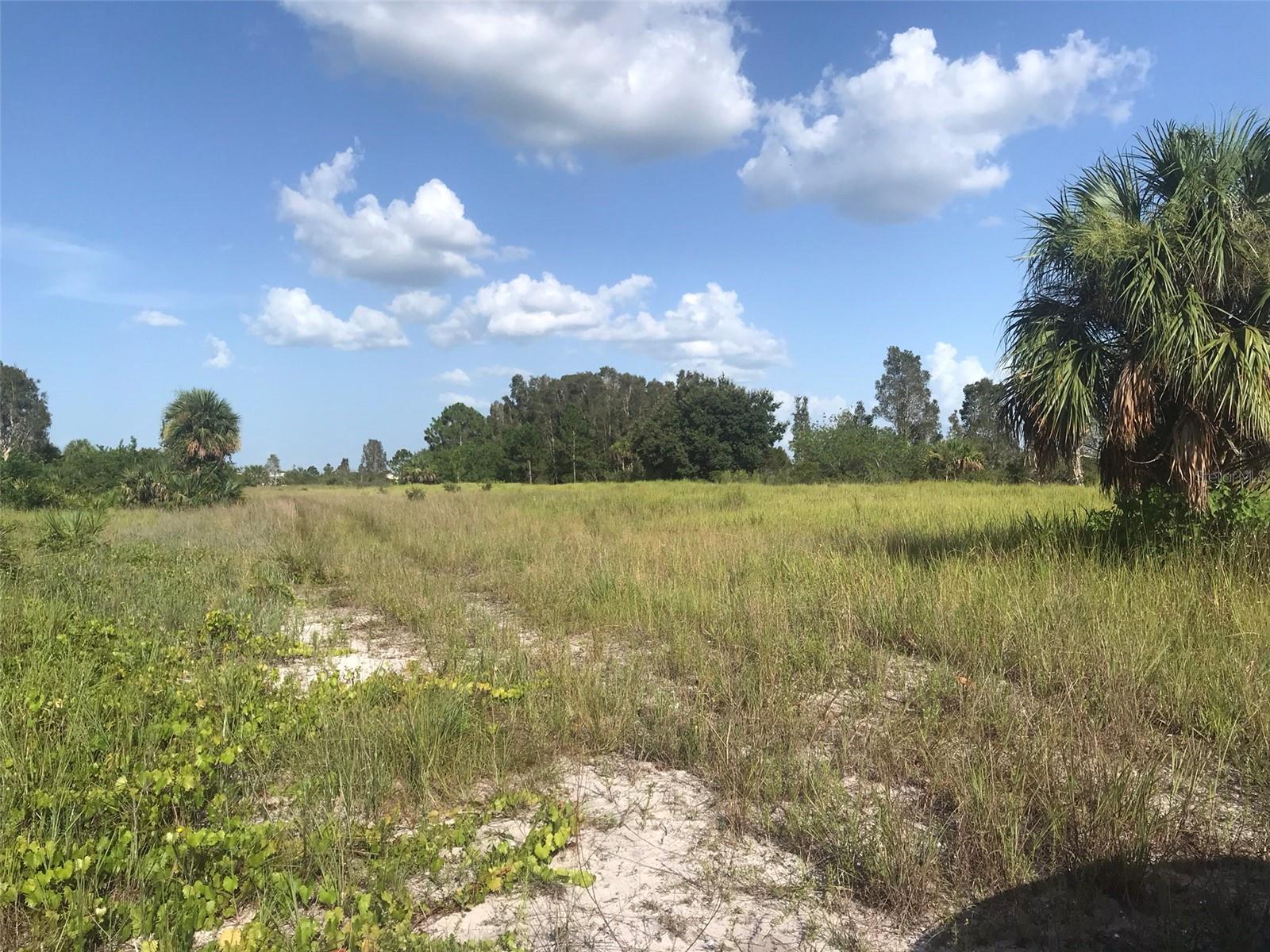 48033 BERMONT RD, PUNTA GORDA, FL — photo 23