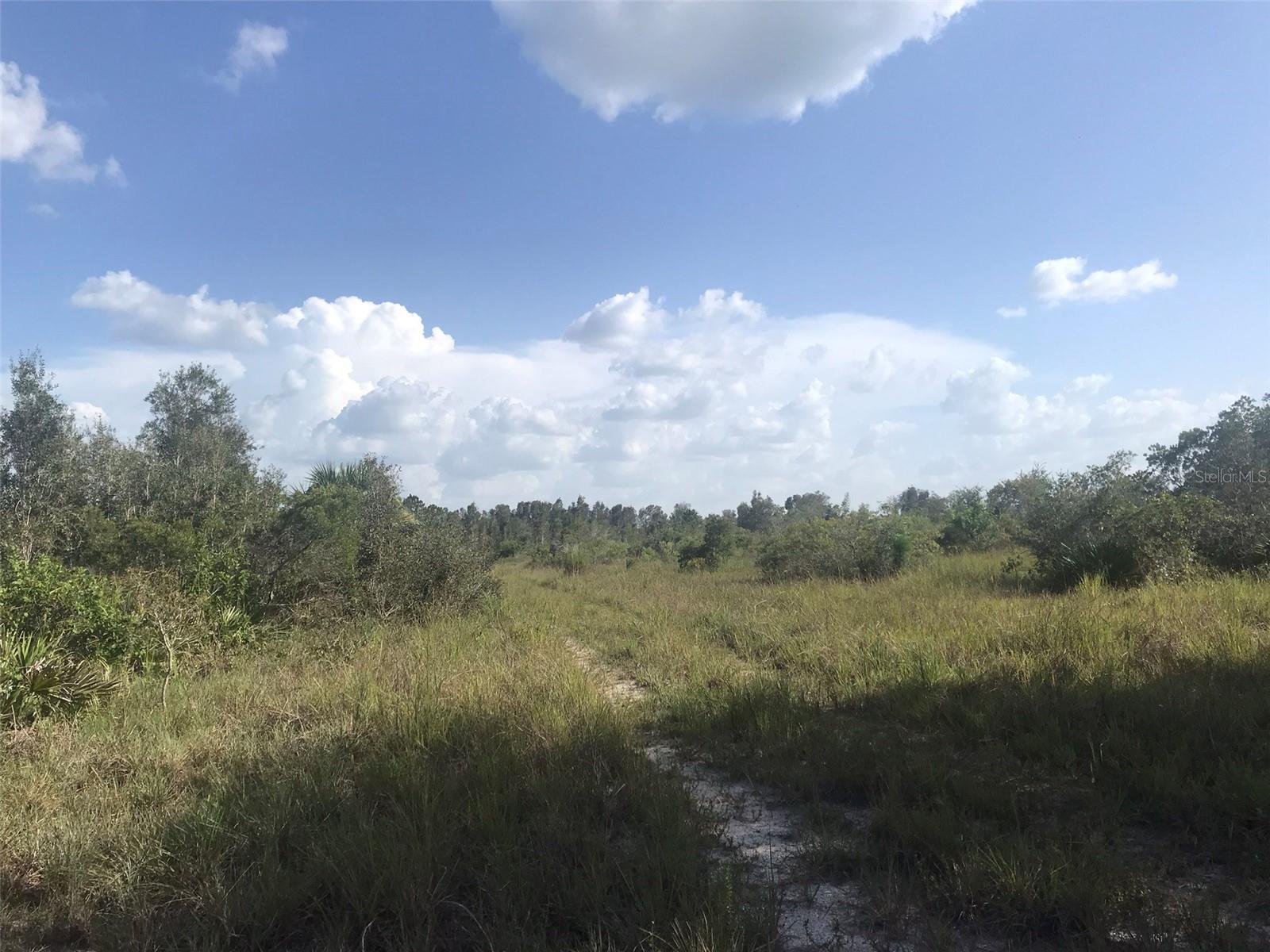 48033 BERMONT RD, PUNTA GORDA, FL — photo 24