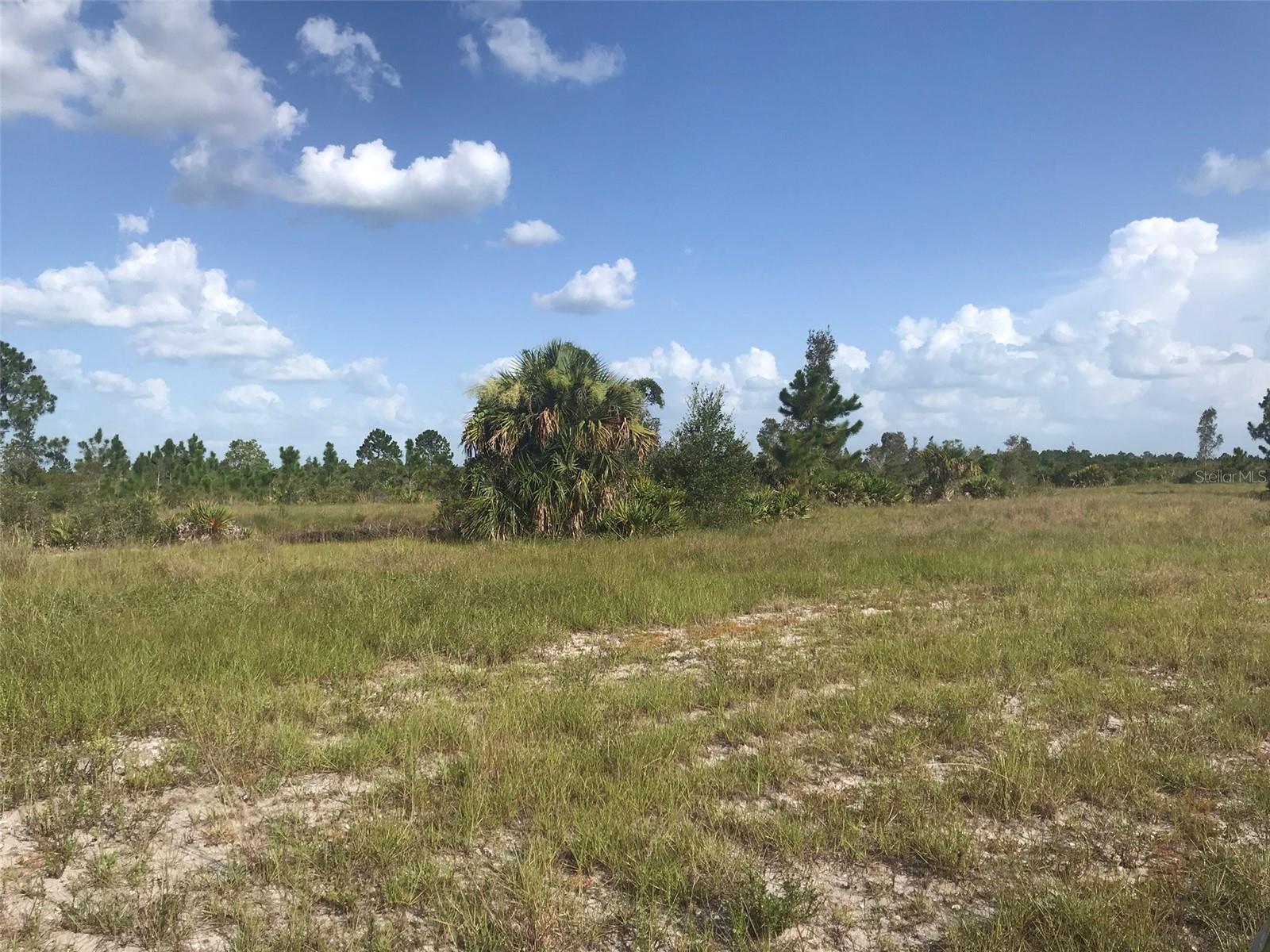 48033 BERMONT RD, PUNTA GORDA, FL — photo 25