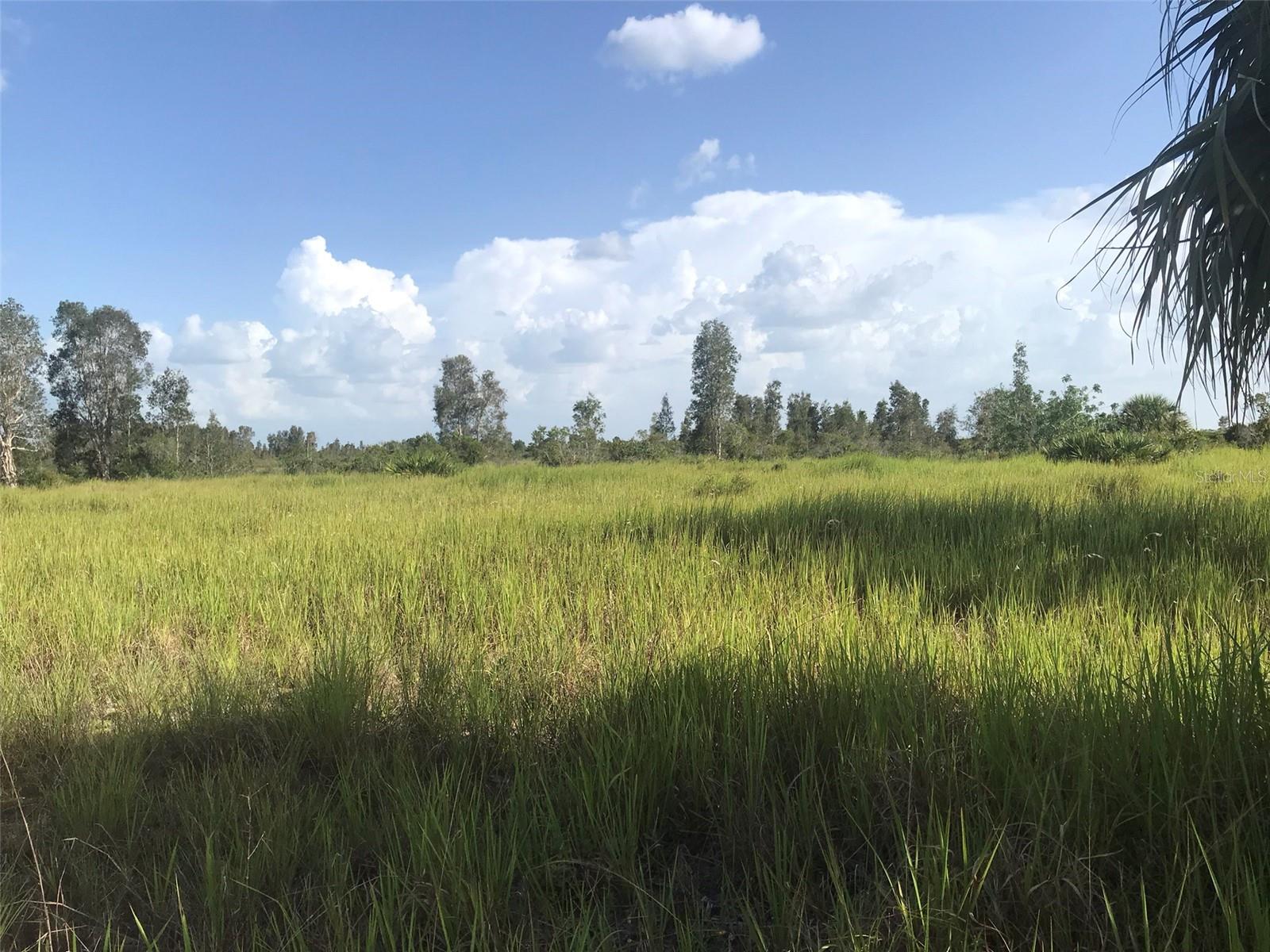 48033 BERMONT RD, PUNTA GORDA, FL — photo 27