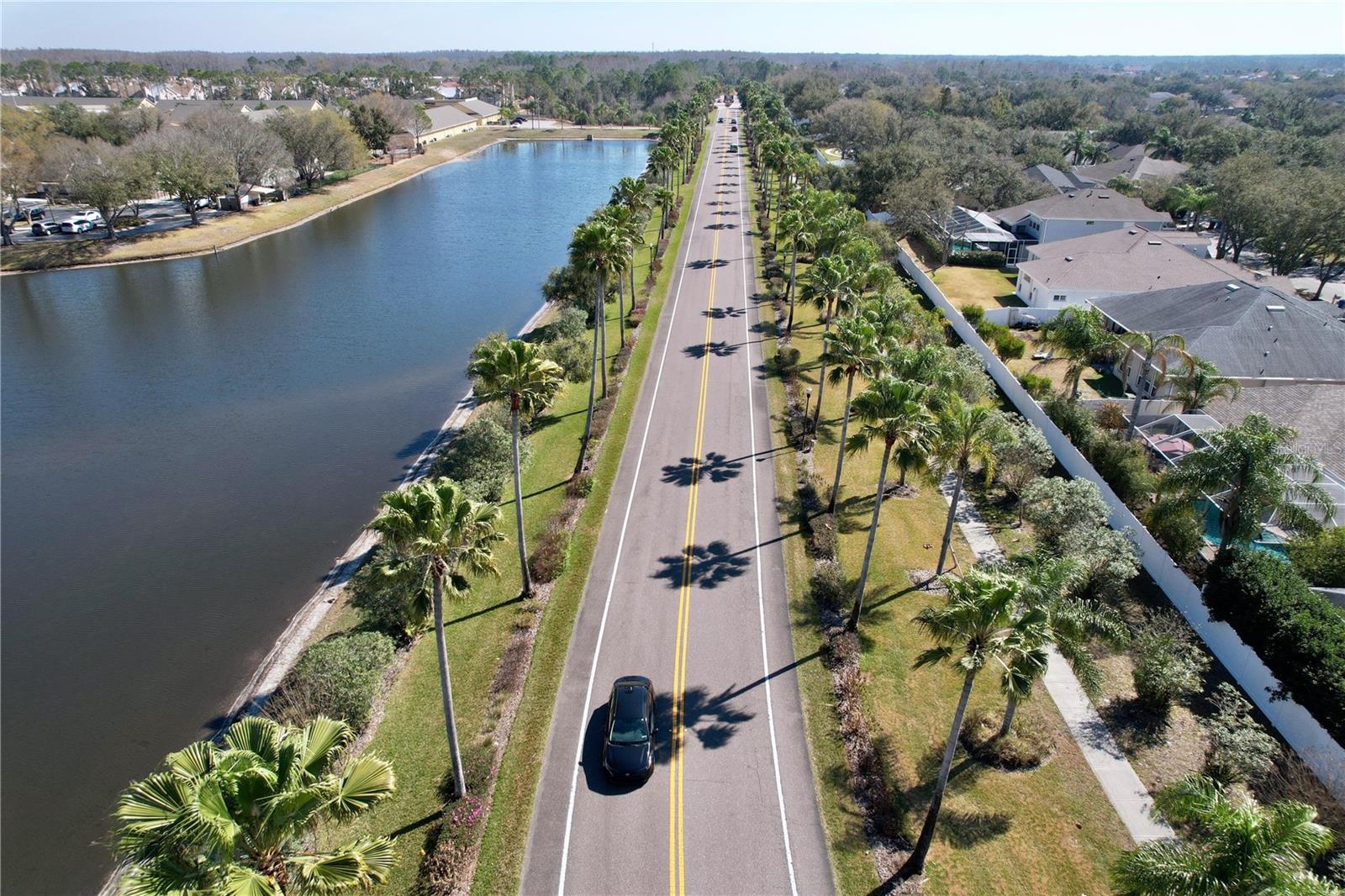 15246 ANGUILLA ISLE AVE, TAMPA, FL — photo 89