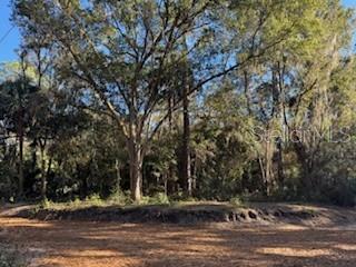 TBD NE 135 AVE, FORT MC COY, FL