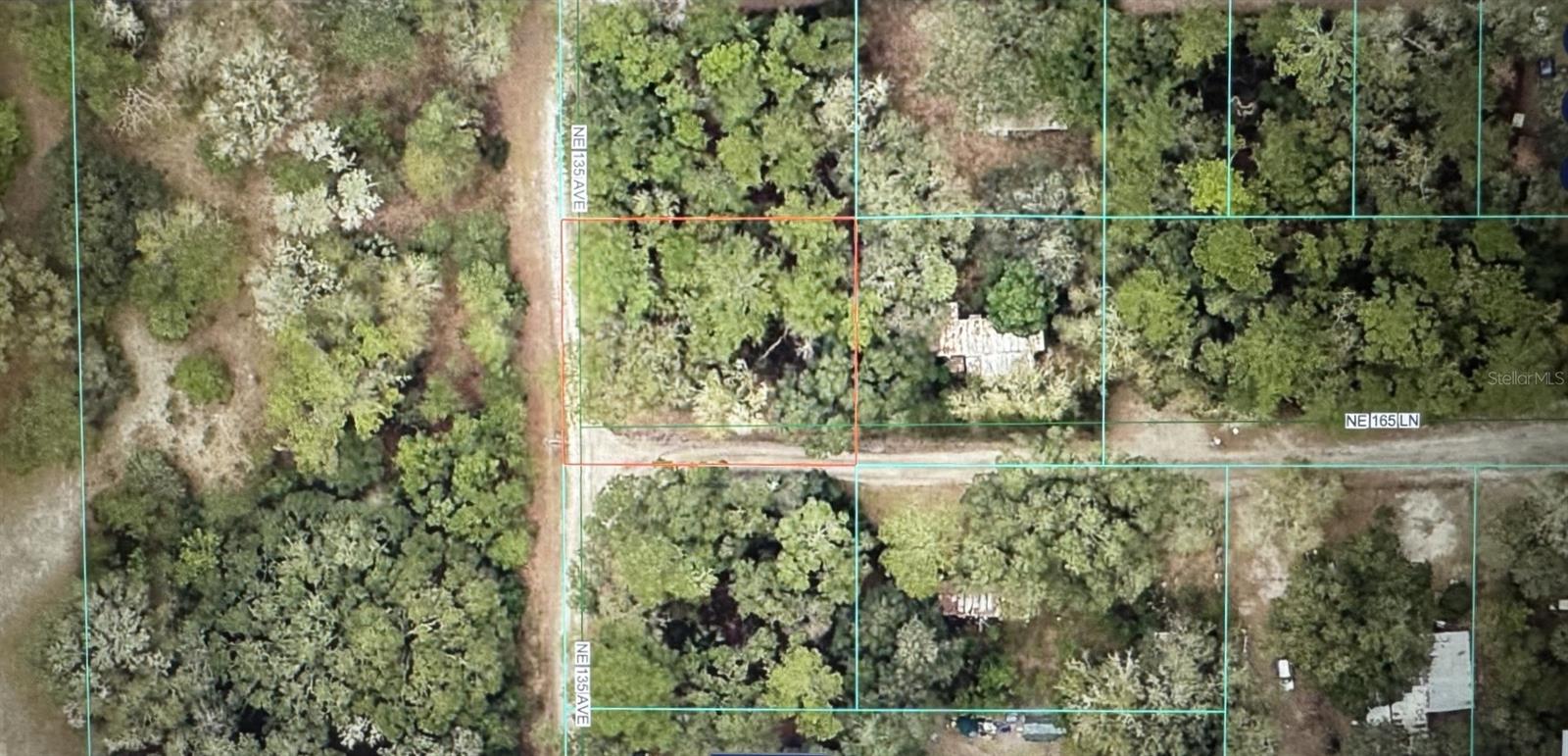 TBD NE 135 AVE, FORT MC COY, FL — photo 3