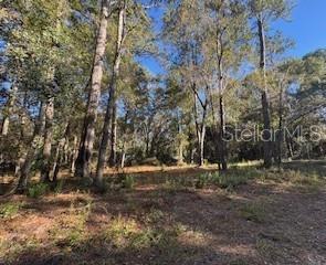 TBD NE 135 AVE, FORT MC COY, FL — photo 7