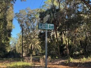 TBD NE 135 AVE, FORT MC COY, FL — photo 9