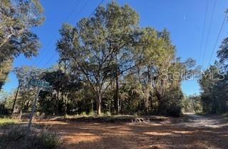 TBD NE 135 AVE, FORT MC COY, FL — photo 11