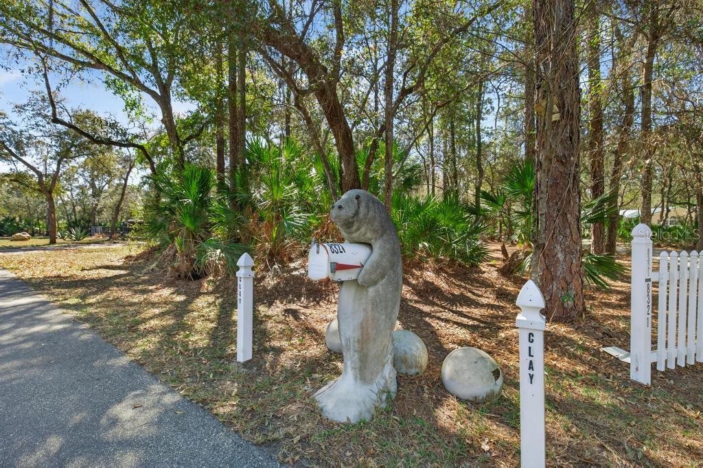8321 HARDWOOD LANDING RD, ST AUGUSTINE, FL — photo 47