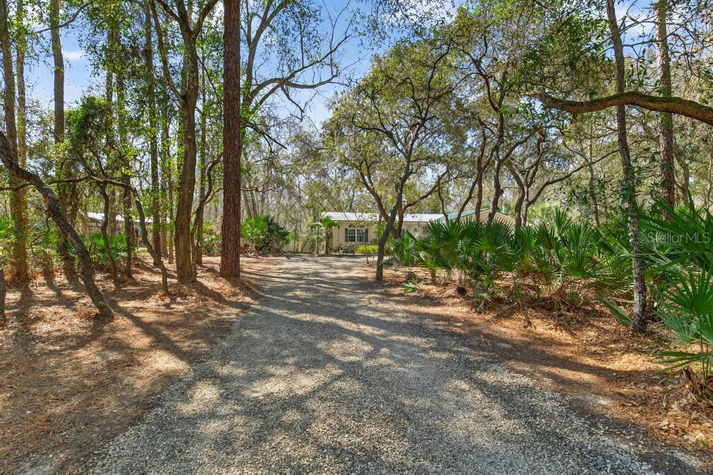 8321 HARDWOOD LANDING RD, ST AUGUSTINE, FL — photo 49