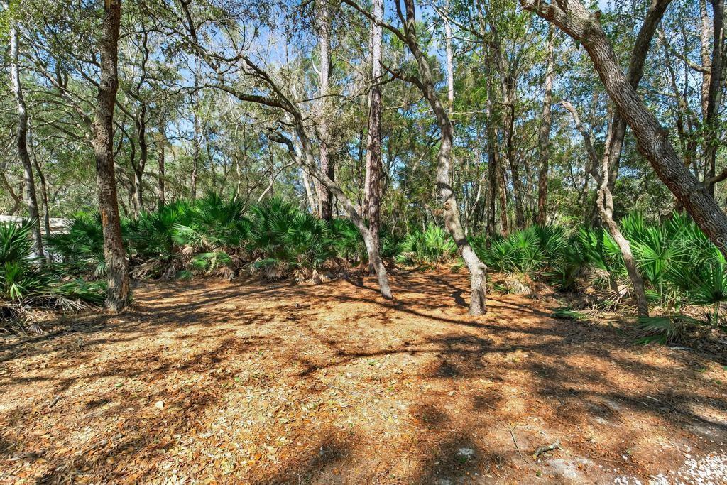 8321 HARDWOOD LANDING RD, ST AUGUSTINE, FL — photo 53