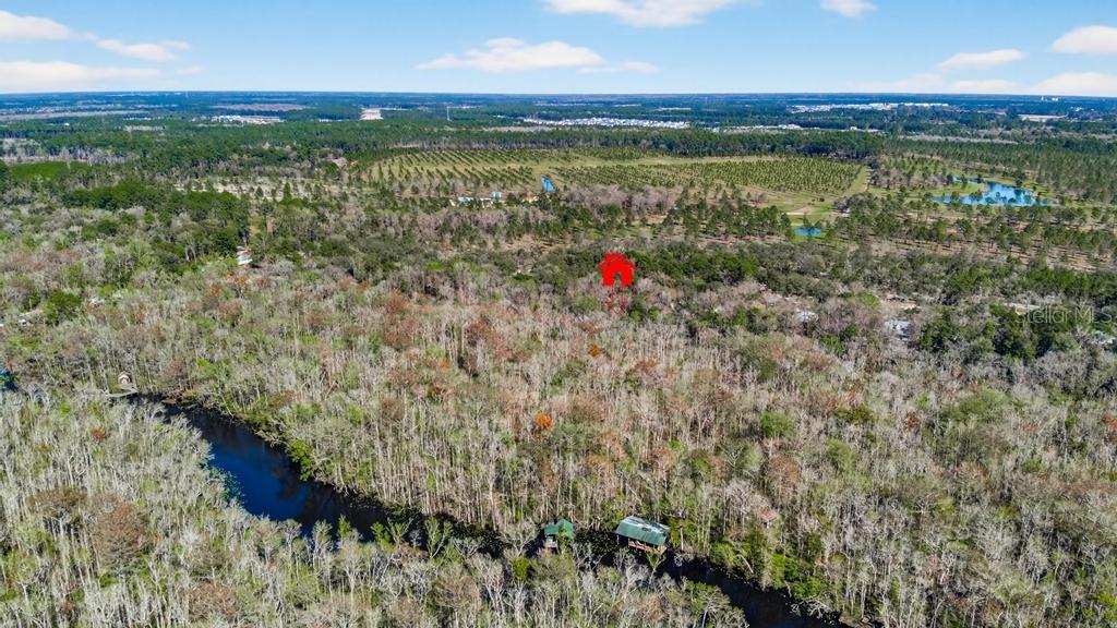 8321 HARDWOOD LANDING RD, ST AUGUSTINE, FL — photo 67