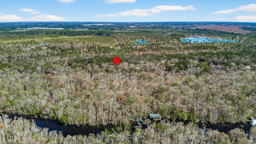 8321 HARDWOOD LANDING RD, ST AUGUSTINE, FL — photo 68