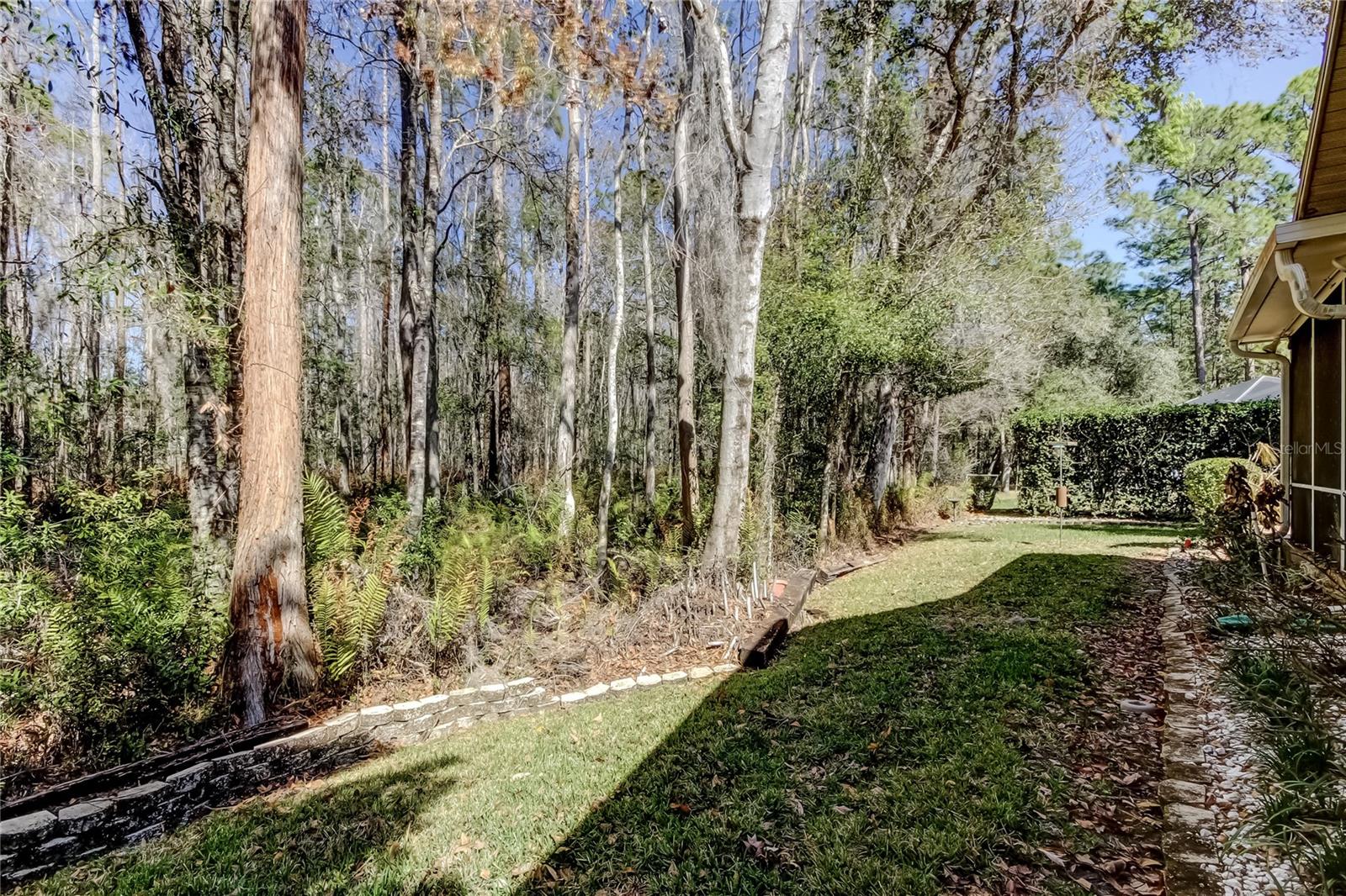1795 BAYHILL DR, OLDSMAR, FL — photo 46