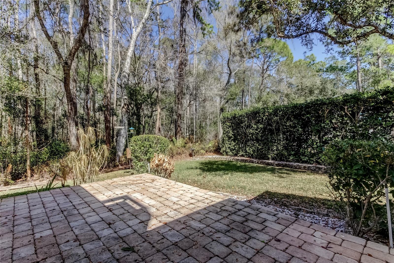 1795 BAYHILL DR, OLDSMAR, FL — photo 47