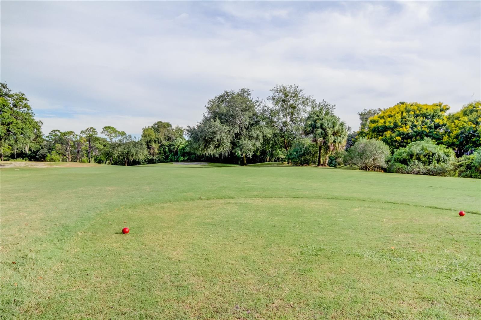 1795 BAYHILL DR, OLDSMAR, FL — photo 54