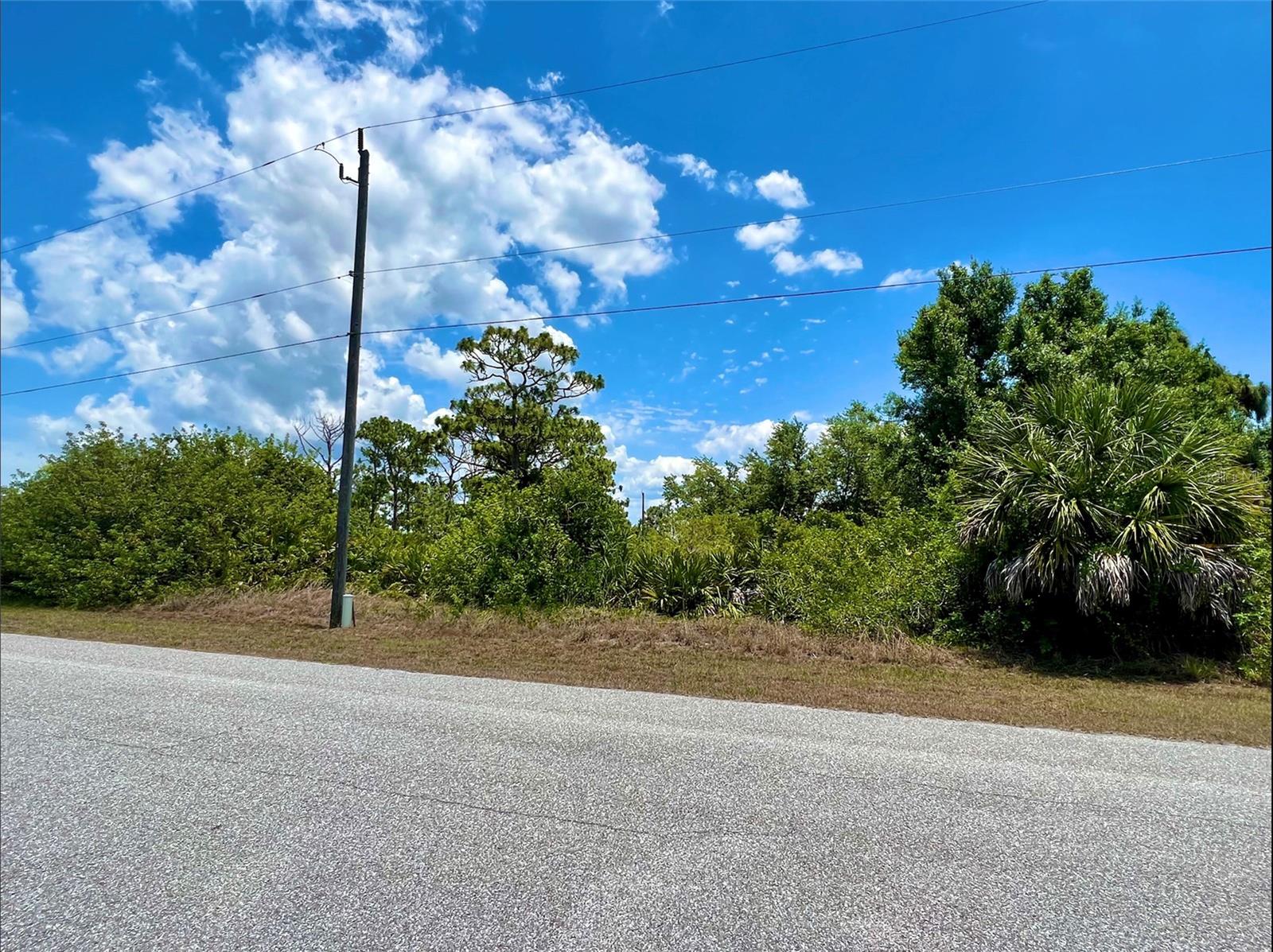 13396 RAYBURN LN, PORT CHARLOTTE, FL — photo 3