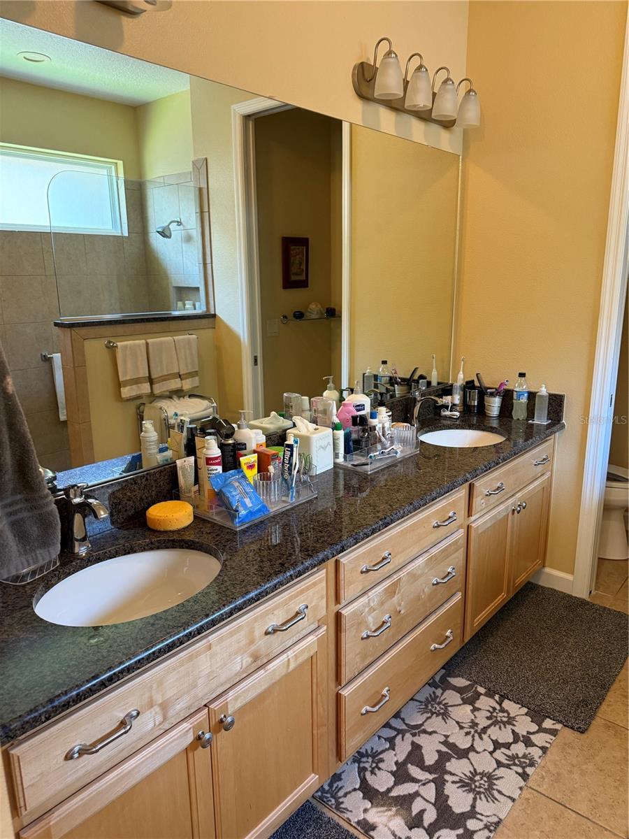 8301 BRIDGEPORT BAY CIR, MOUNT DORA, FL — photo 45
