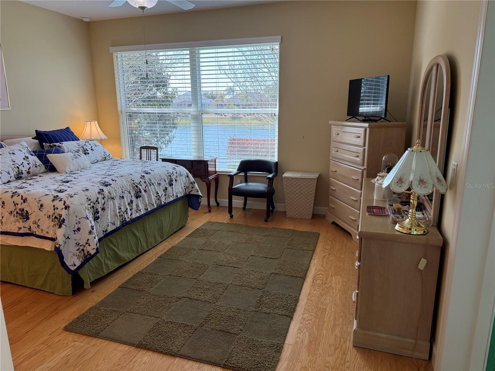 8301 BRIDGEPORT BAY CIR, MOUNT DORA, FL — photo 42
