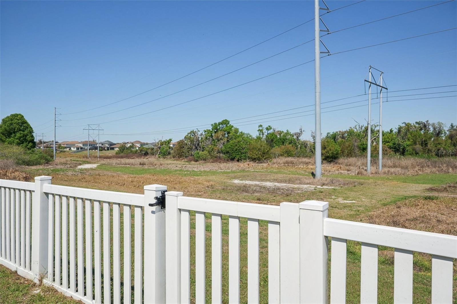 11168 LELAND GROVES DR, RIVERVIEW, FL — photo 33