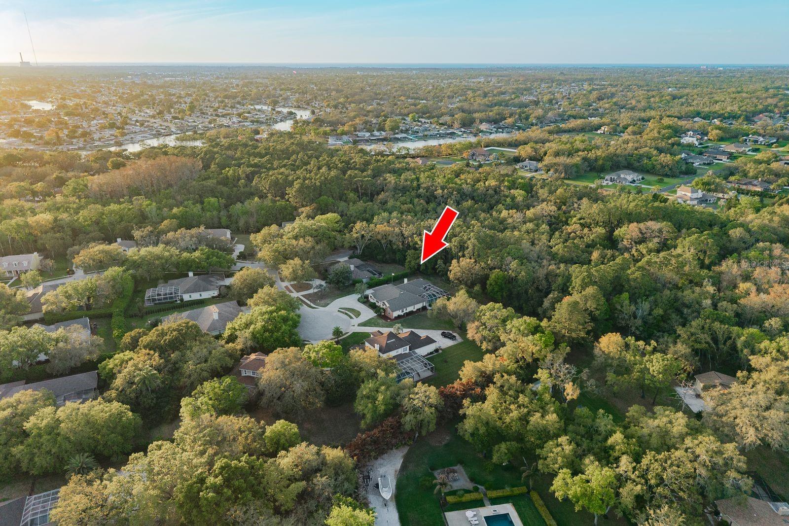 6207 CLAIRE DE LUNE CT, NEW PORT RICHEY, FL — photo 78