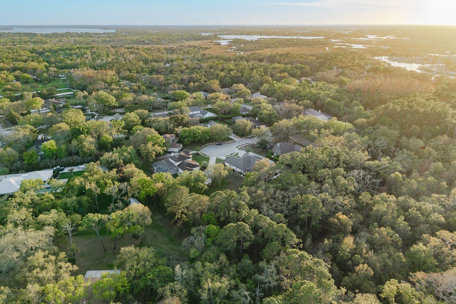 6207 CLAIRE DE LUNE CT, NEW PORT RICHEY, FL — photo 79