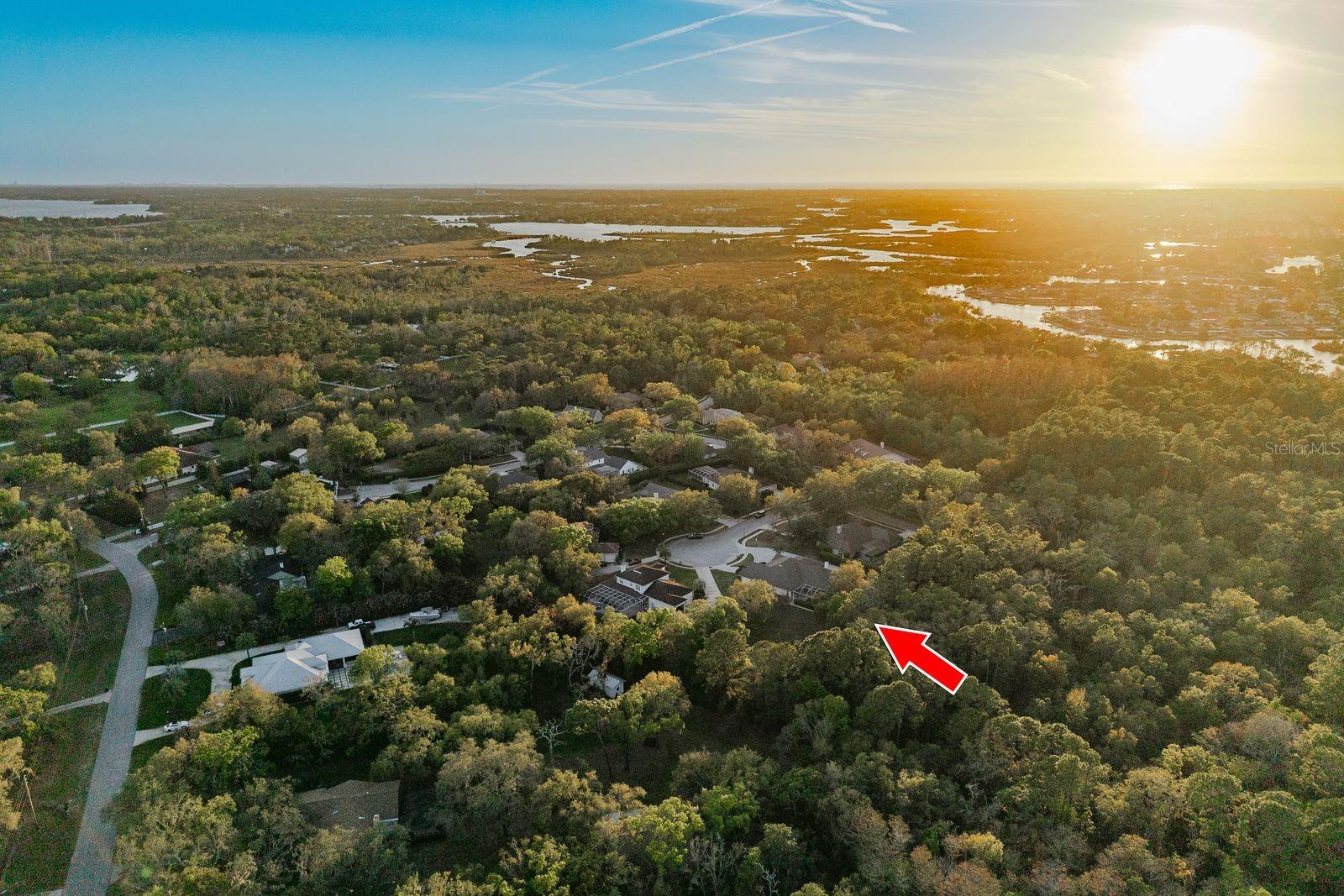 6207 CLAIRE DE LUNE CT, NEW PORT RICHEY, FL — photo 80