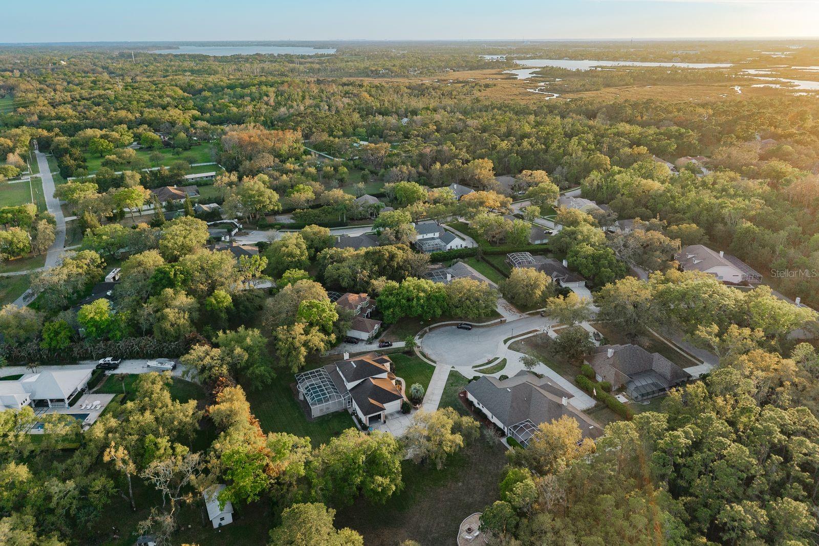 6207 CLAIRE DE LUNE CT, NEW PORT RICHEY, FL — photo 81