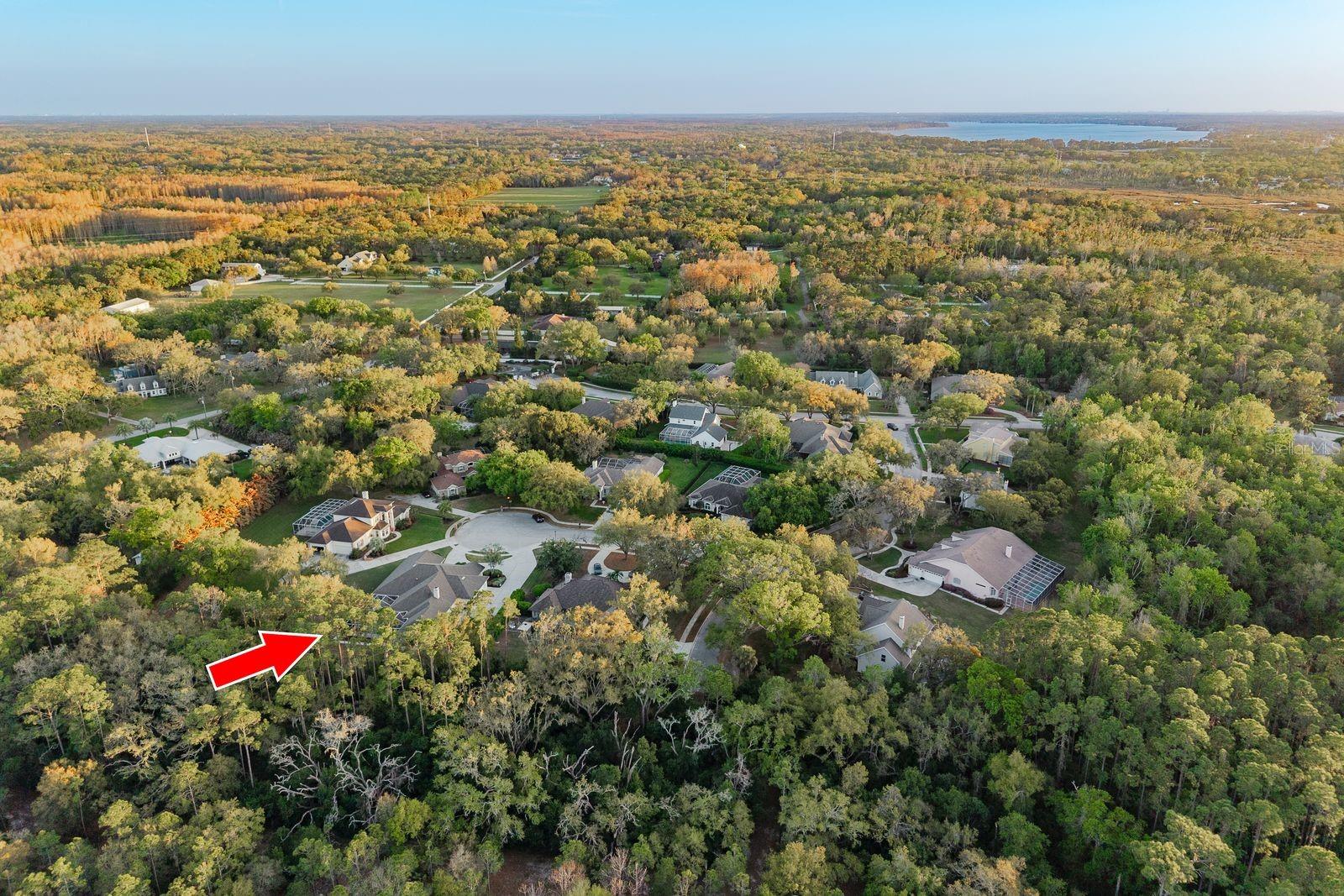 6207 CLAIRE DE LUNE CT, NEW PORT RICHEY, FL — photo 82