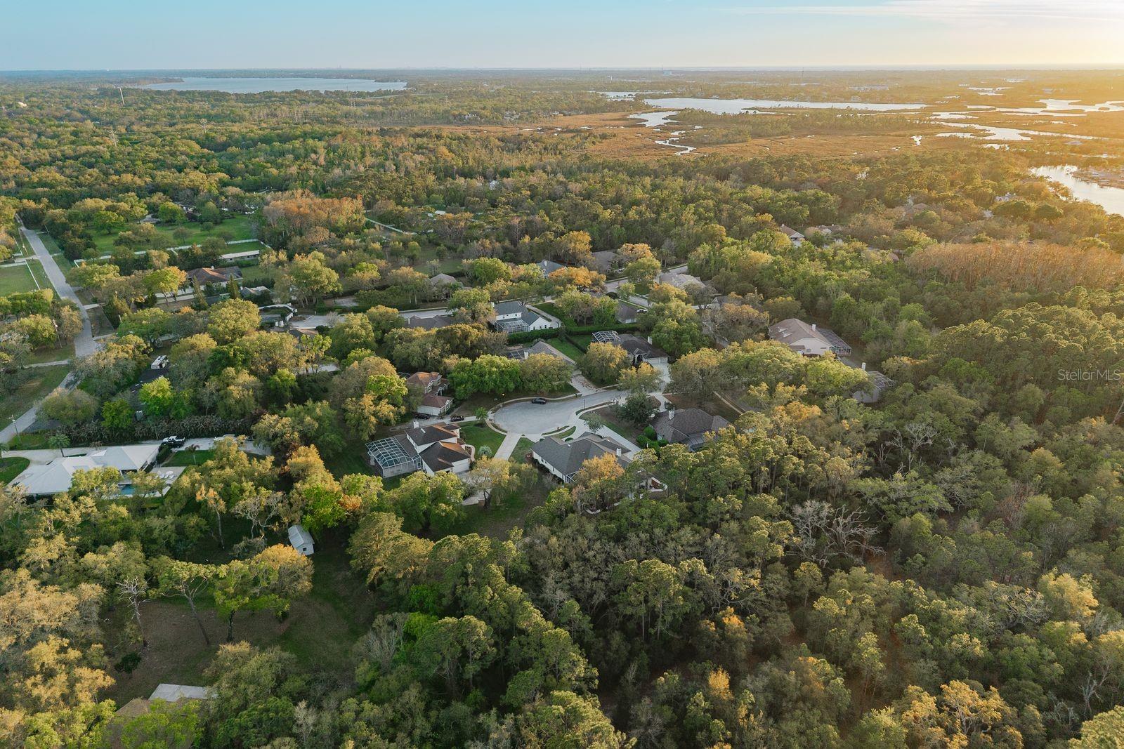 6207 CLAIRE DE LUNE CT, NEW PORT RICHEY, FL — photo 83