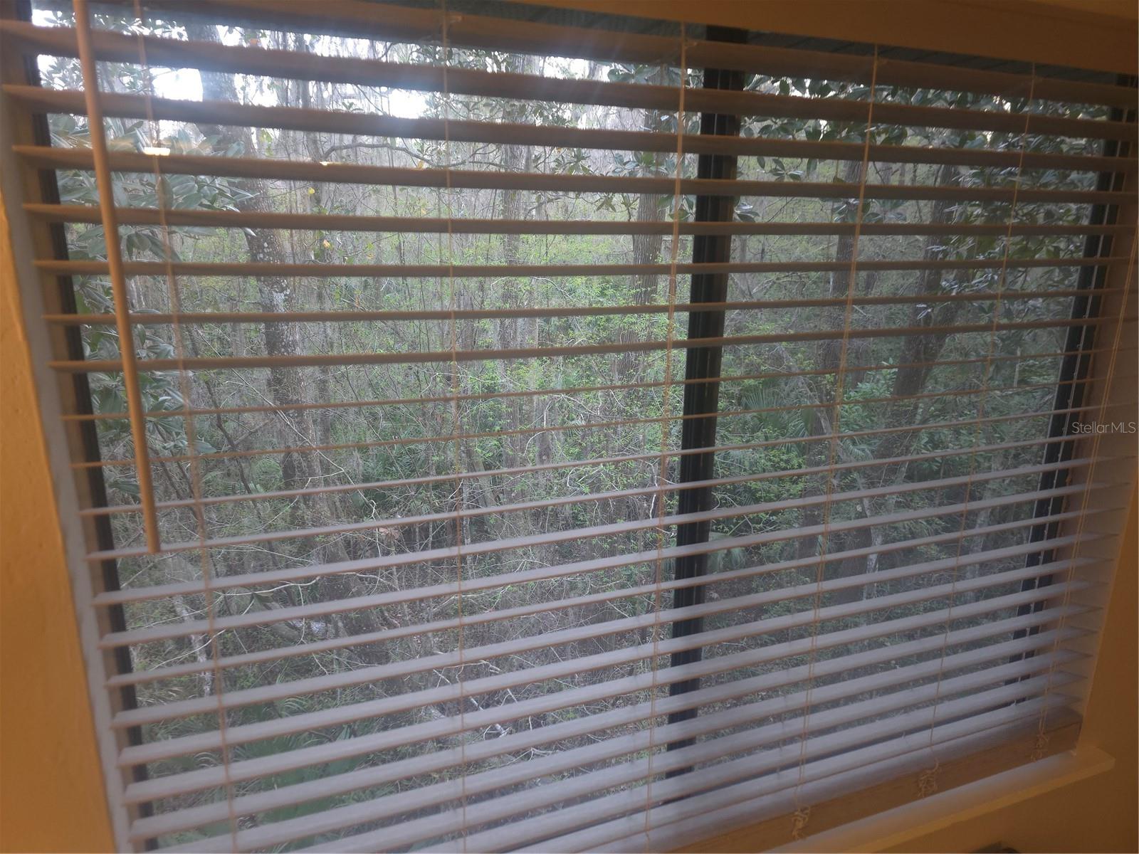 85 SE 16TH AVE #F302, GAINESVILLE, FL — photo 29