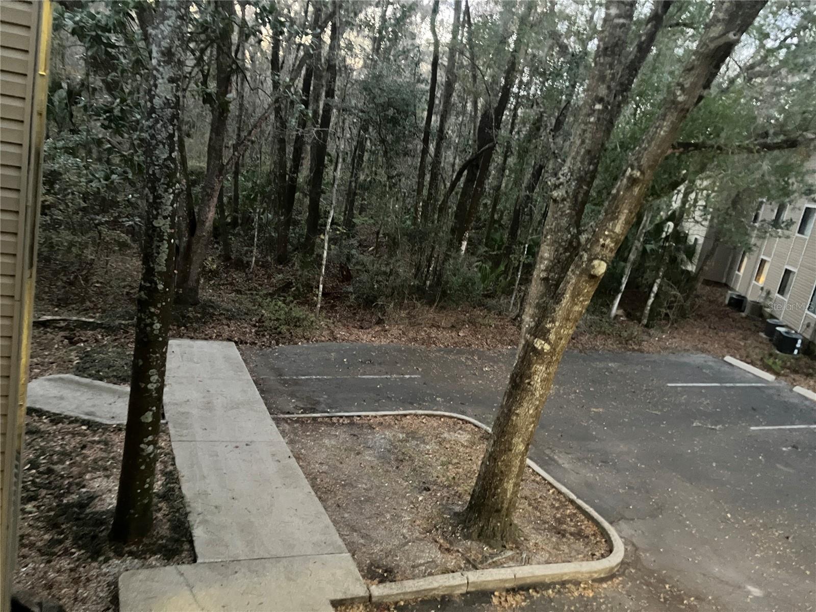 85 SE 16TH AVE #F302, GAINESVILLE, FL — photo 66