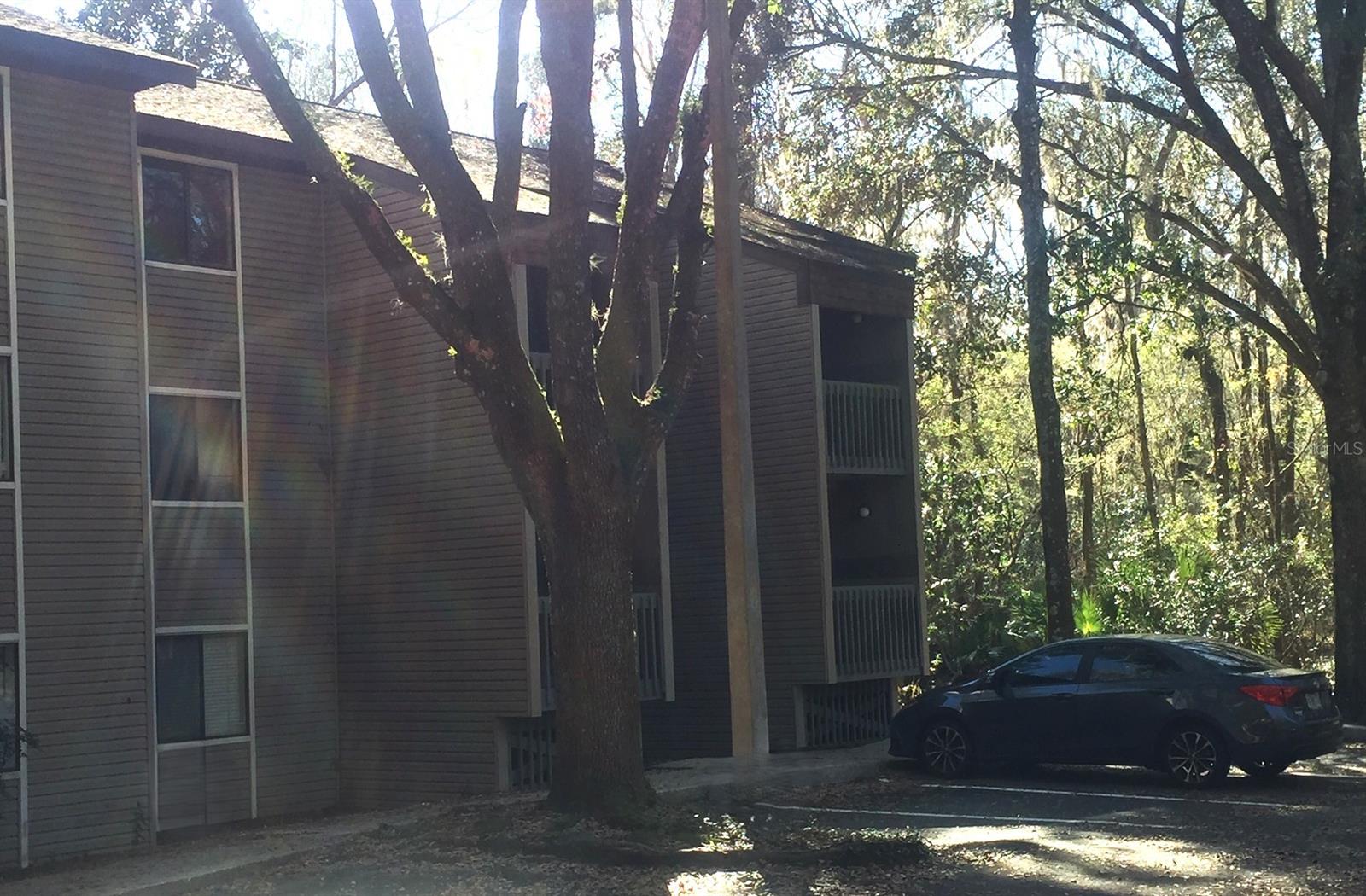 85 SE 16TH AVE #F302, GAINESVILLE, FL — photo 67