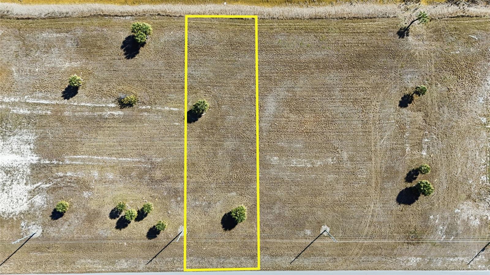 32 YELLOWHAMMER DR, PLACIDA, FL — photo 3