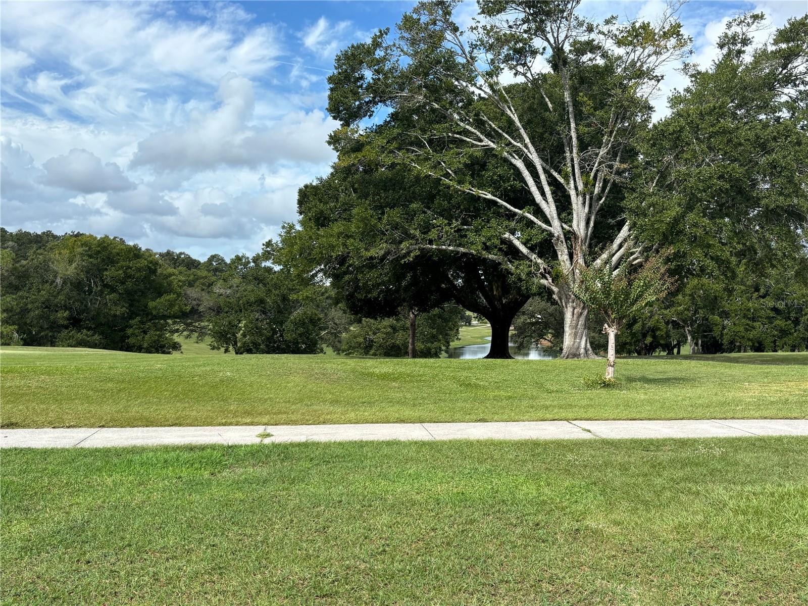 3746 PARWAY RD #1349, ZELLWOOD, FL — photo 38