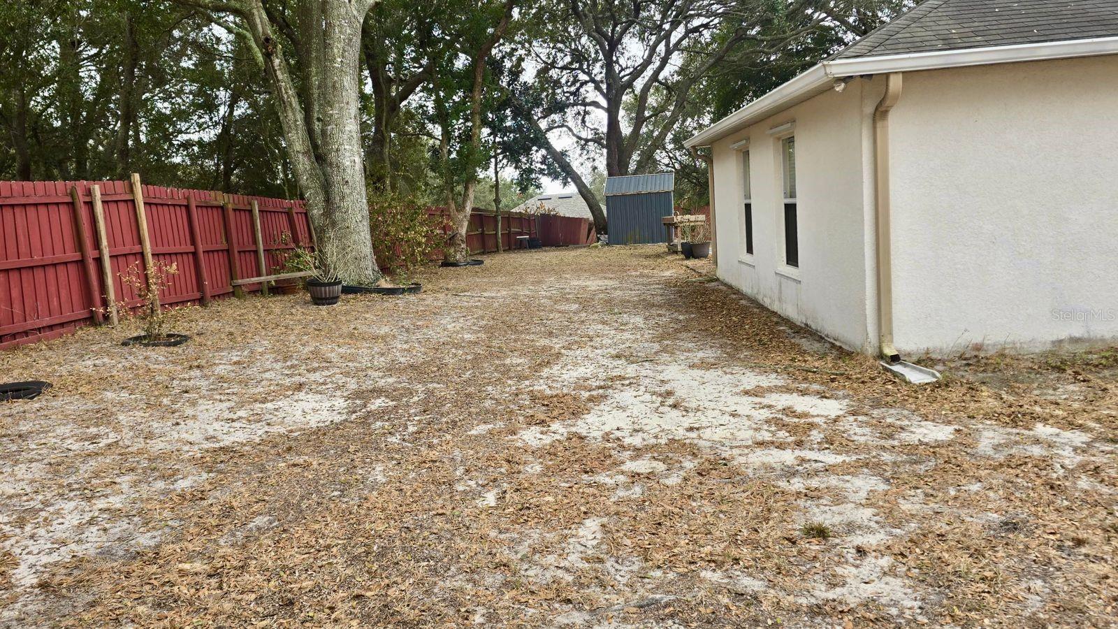 204 LACE BARK CT, MINNEOLA, FL — photo 11