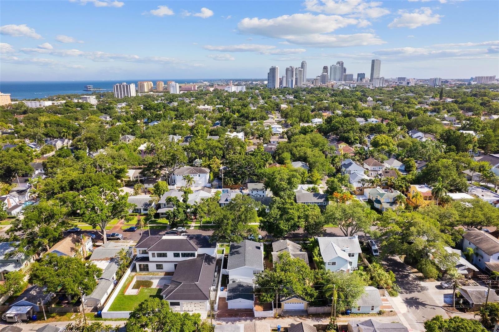 325 17TH AVE NE, ST PETERSBURG, FL — photo 39