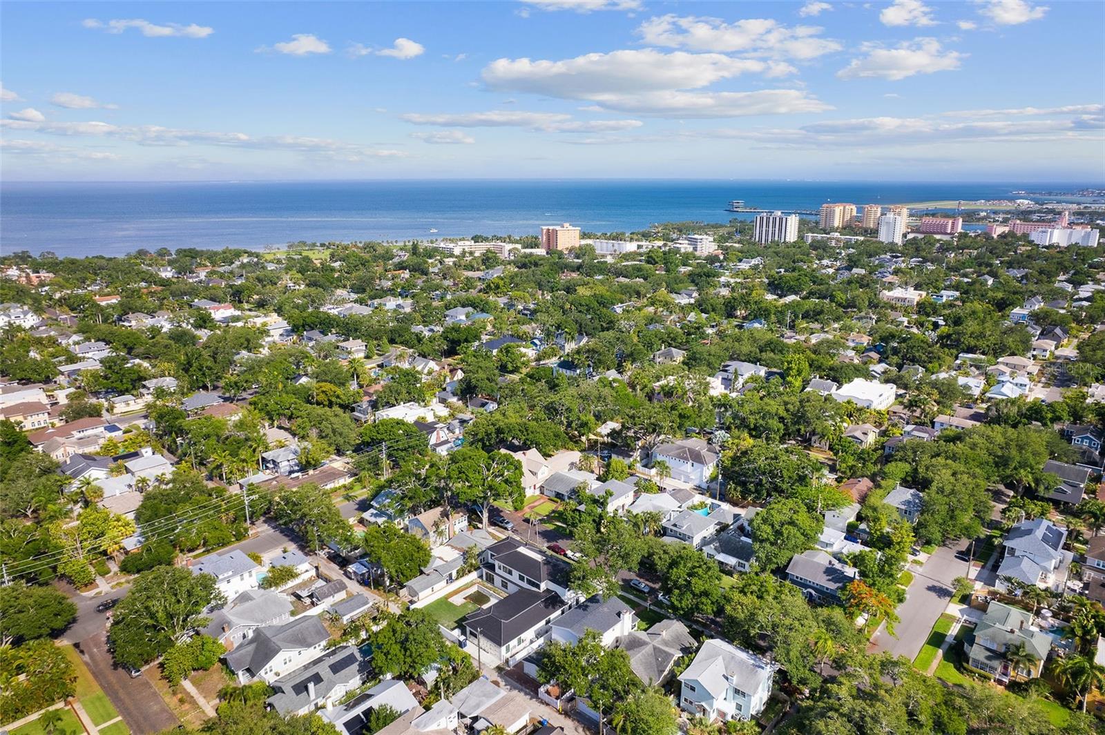 325 17TH AVE NE, ST PETERSBURG, FL — photo 40