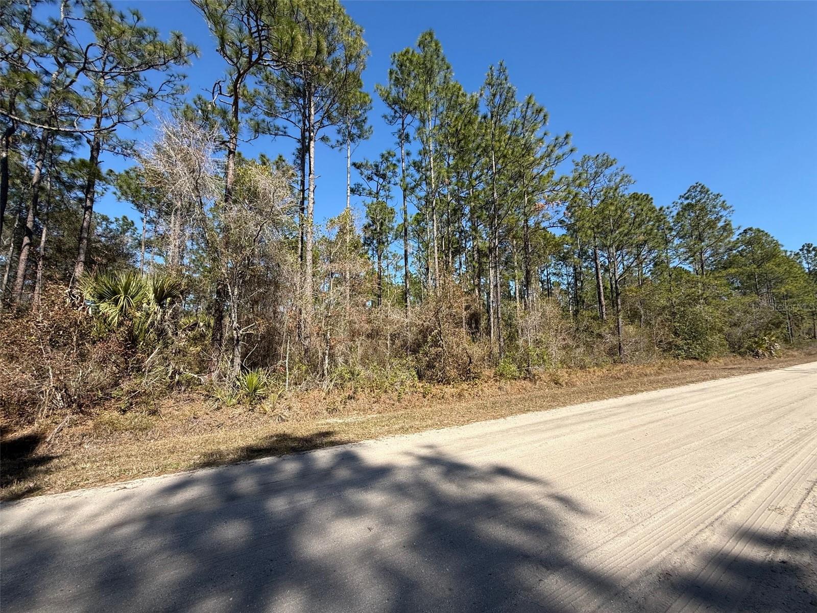 4664 CLOVE AVE, BUNNELL, FL