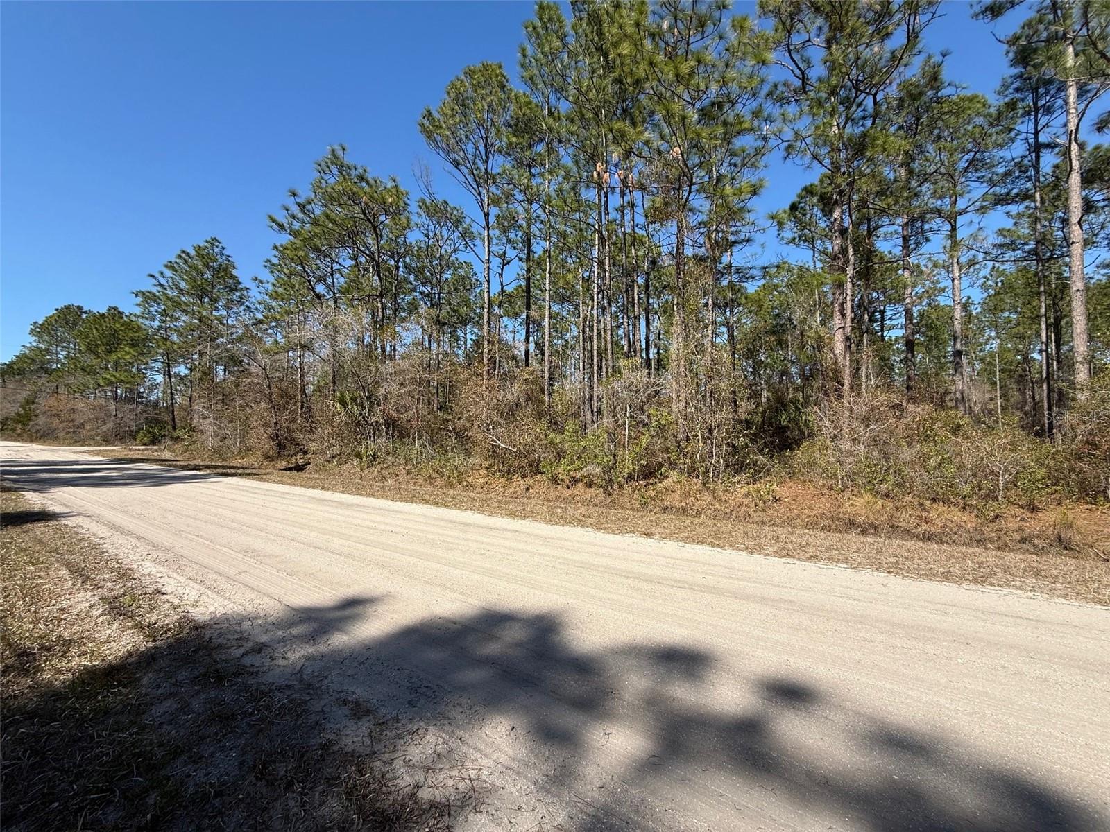 4664 CLOVE AVE, BUNNELL, FL — photo 2
