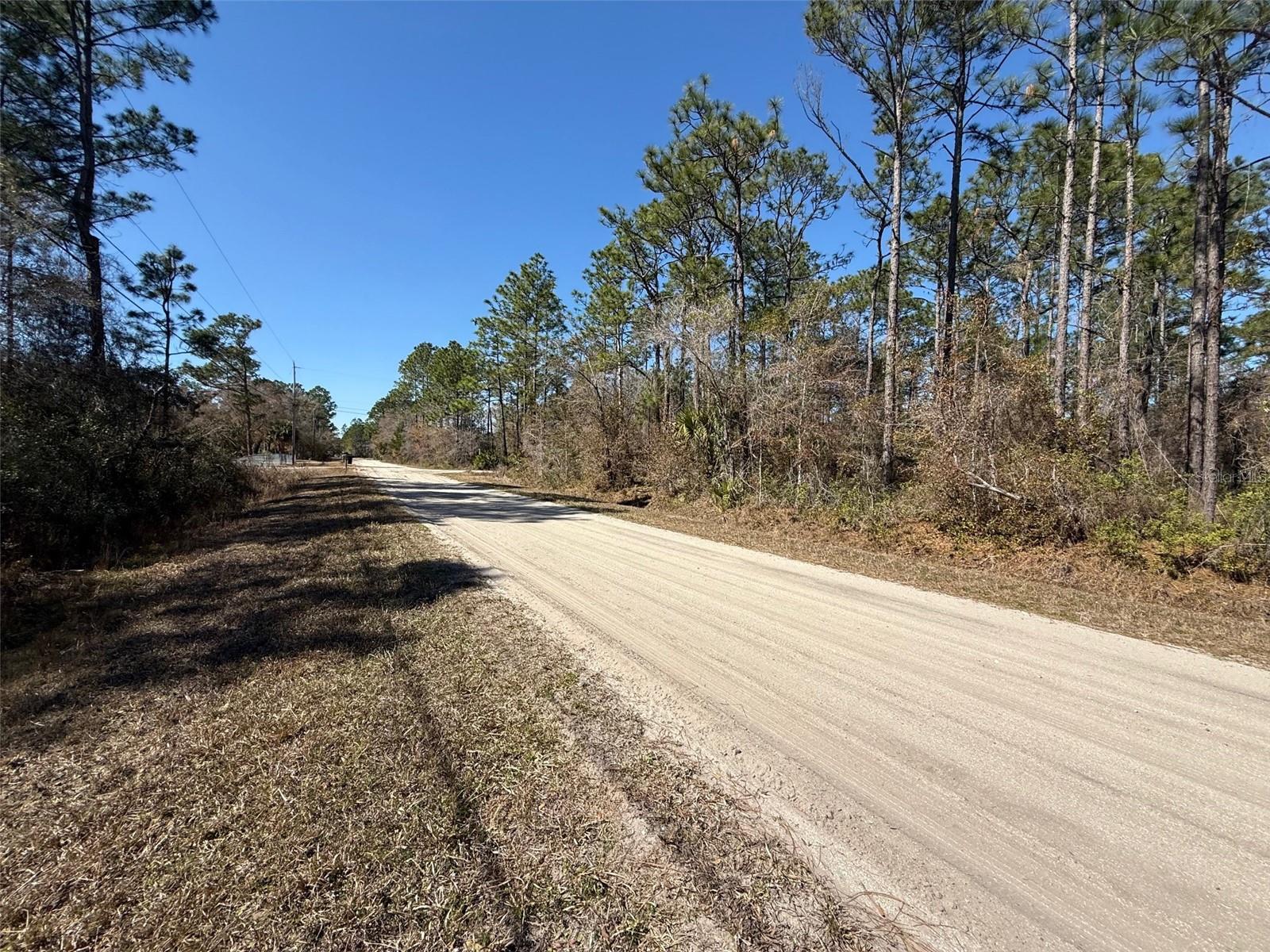 4664 CLOVE AVE, BUNNELL, FL — photo 3