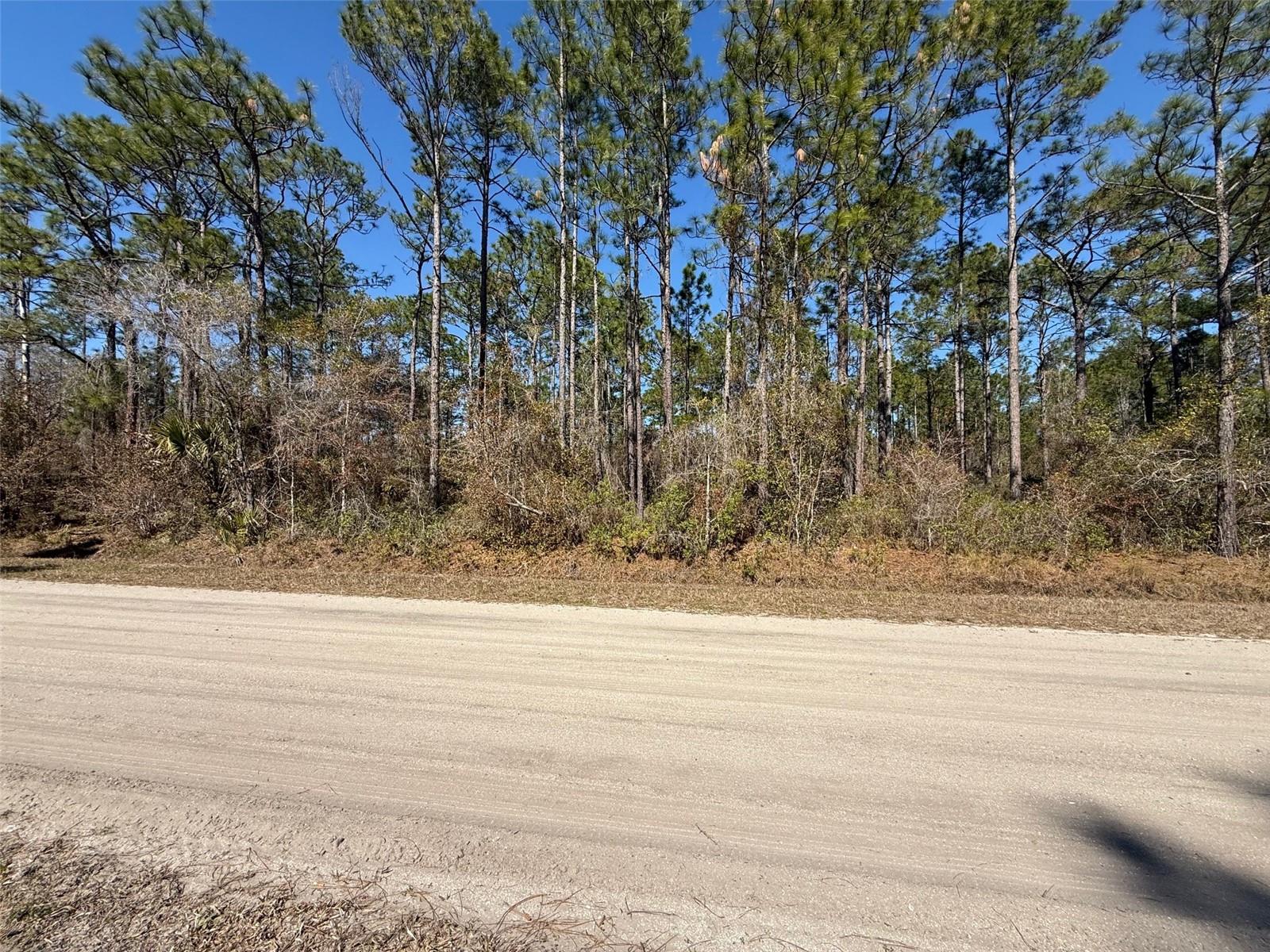 4664 CLOVE AVE, BUNNELL, FL — photo 4