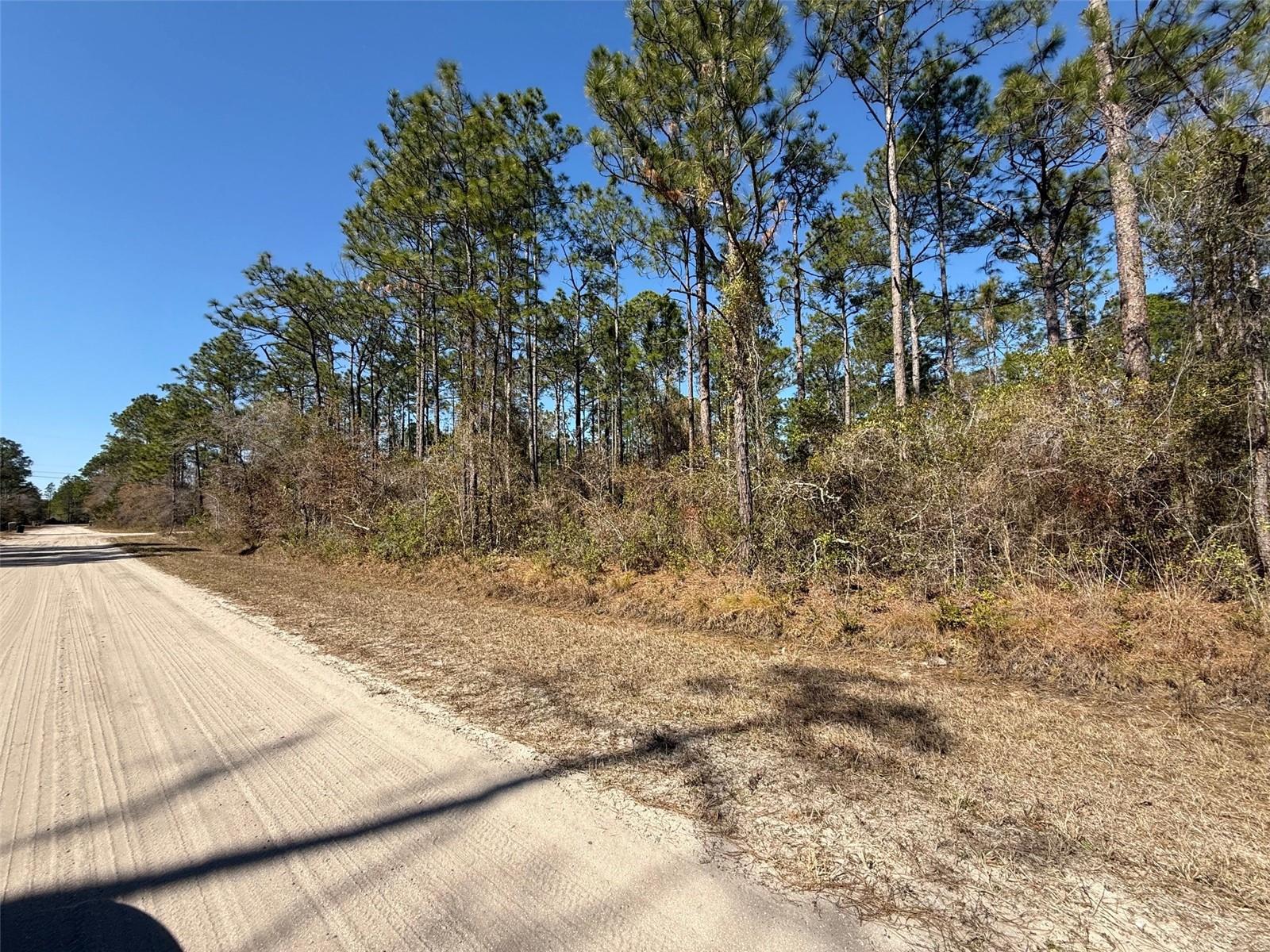 4664 CLOVE AVE, BUNNELL, FL — photo 5