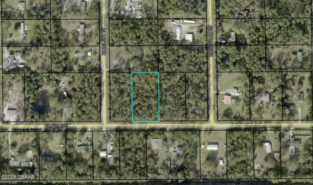 4664 CLOVE AVE, BUNNELL, FL — photo 6