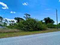 13388 RAYBURN LN — photo 2