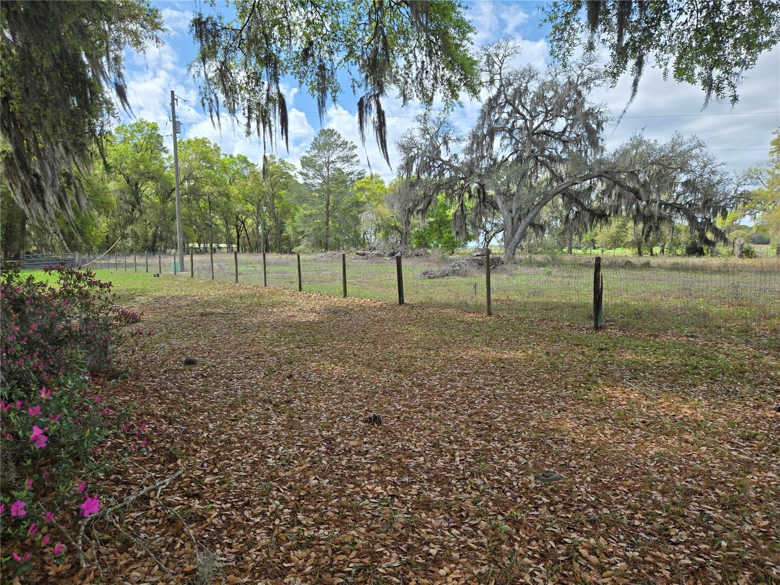 2327 CR 528, SUMTERVILLE, FL — photo 4